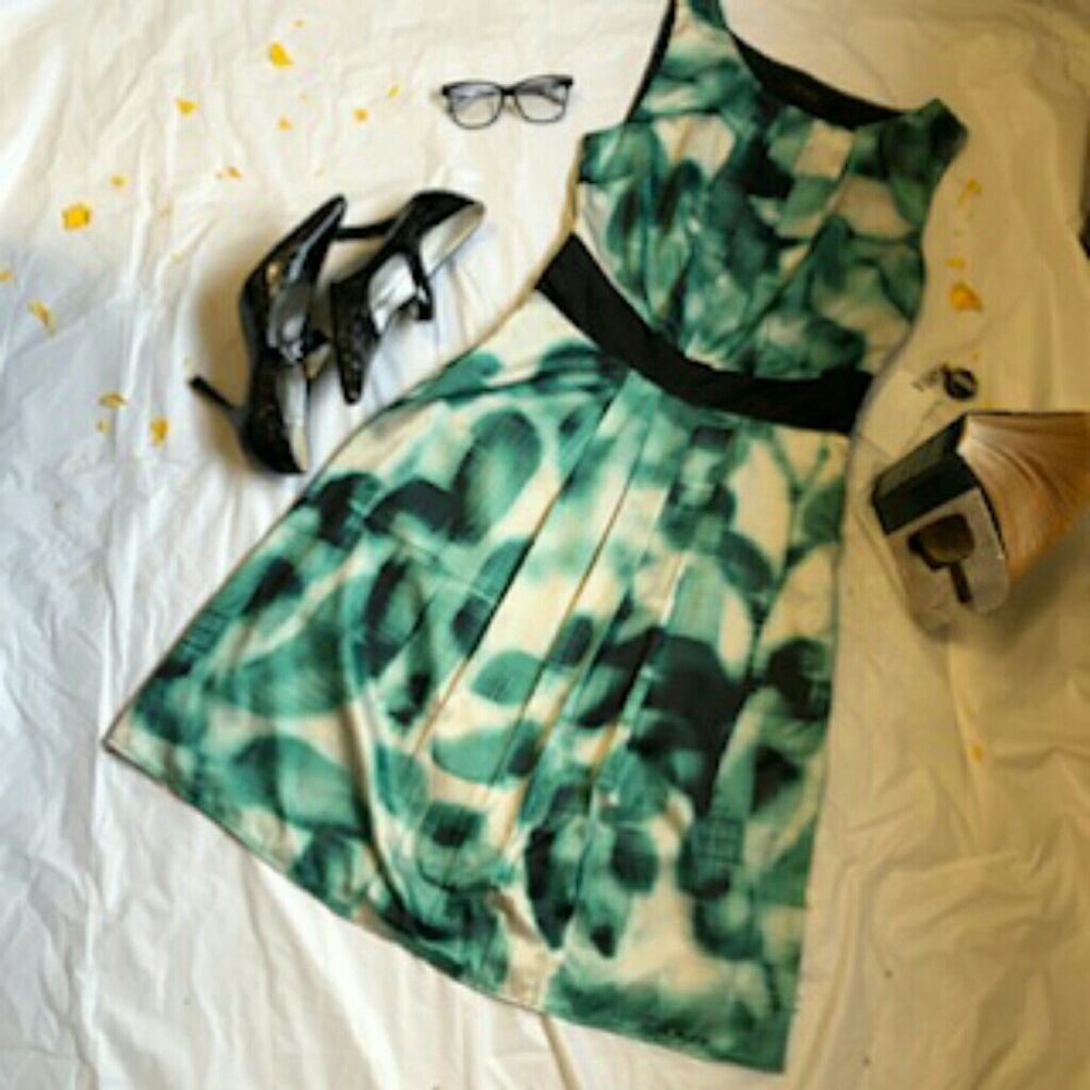 Limited Women's A Line Print Dress Size Two